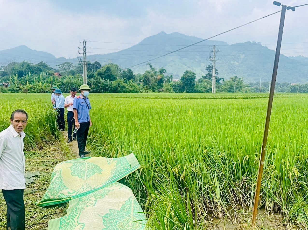 Hiện trường xảy ra vụ việc điện giật khiến 2 người tử vong ở xã Làng Giàng, huyện Văn Bàn, tỉnh Lào Cai ngày 26/9/2024 . (Ảnh Công an Lào Cai cung cấp)